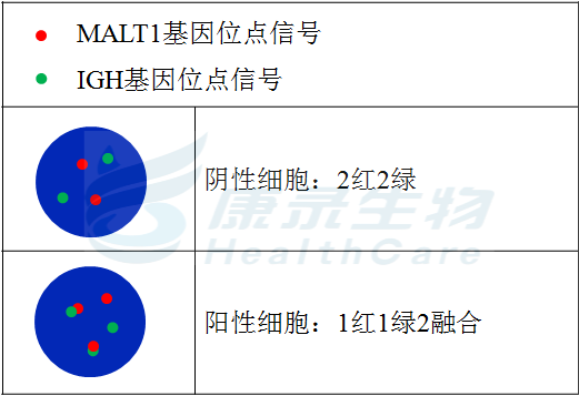 中国·拉斯维加斯(3499·官方认证)网站-Officialwebsite